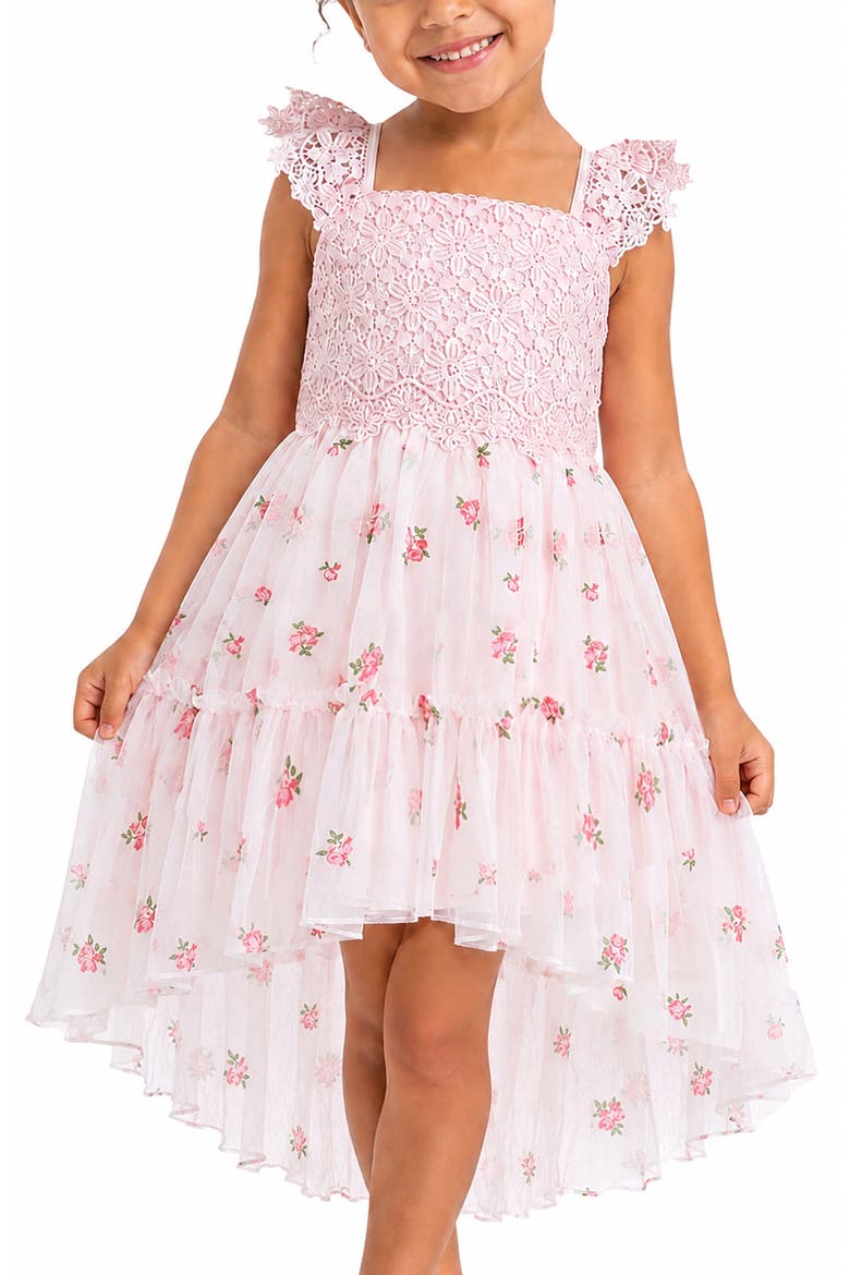 Kids' Crochet Bodice Embroidered Mesh Hi-Low Dress, Alternate, color, PINK