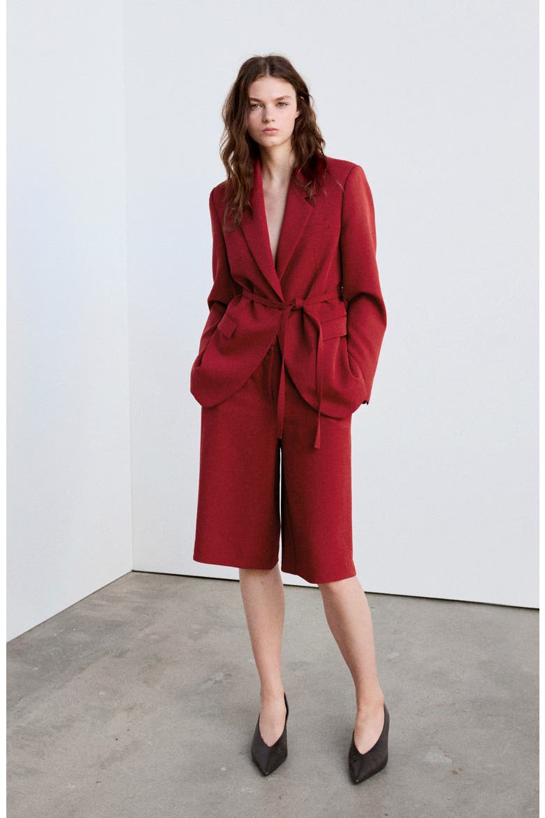 Double Breasted Blazer with Tie Belt, Alternate, color, DARK ORANGE