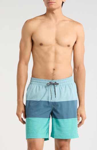 Colorblocked Volley Swim Trunks