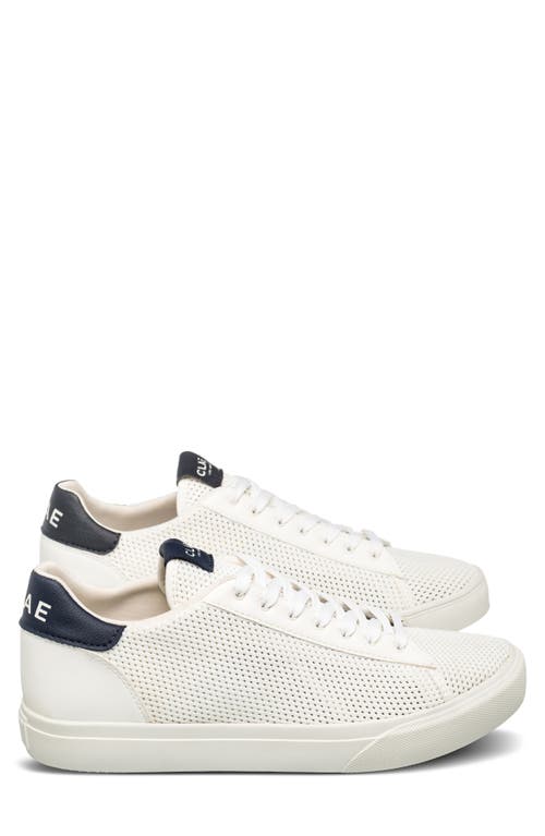 Clae Bradley Knit Low Top Sneaker In White Navy Cactus