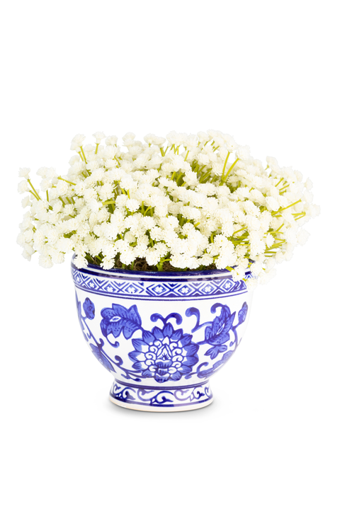 Colette Toile Baby's Breath Bowl