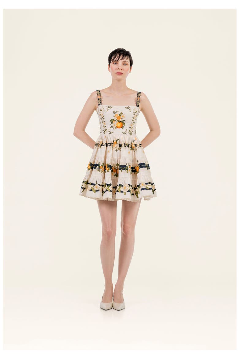 Lima Valle Mini Dress, Alternate, color, Multicolor