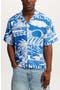 selected Blue Havana Print