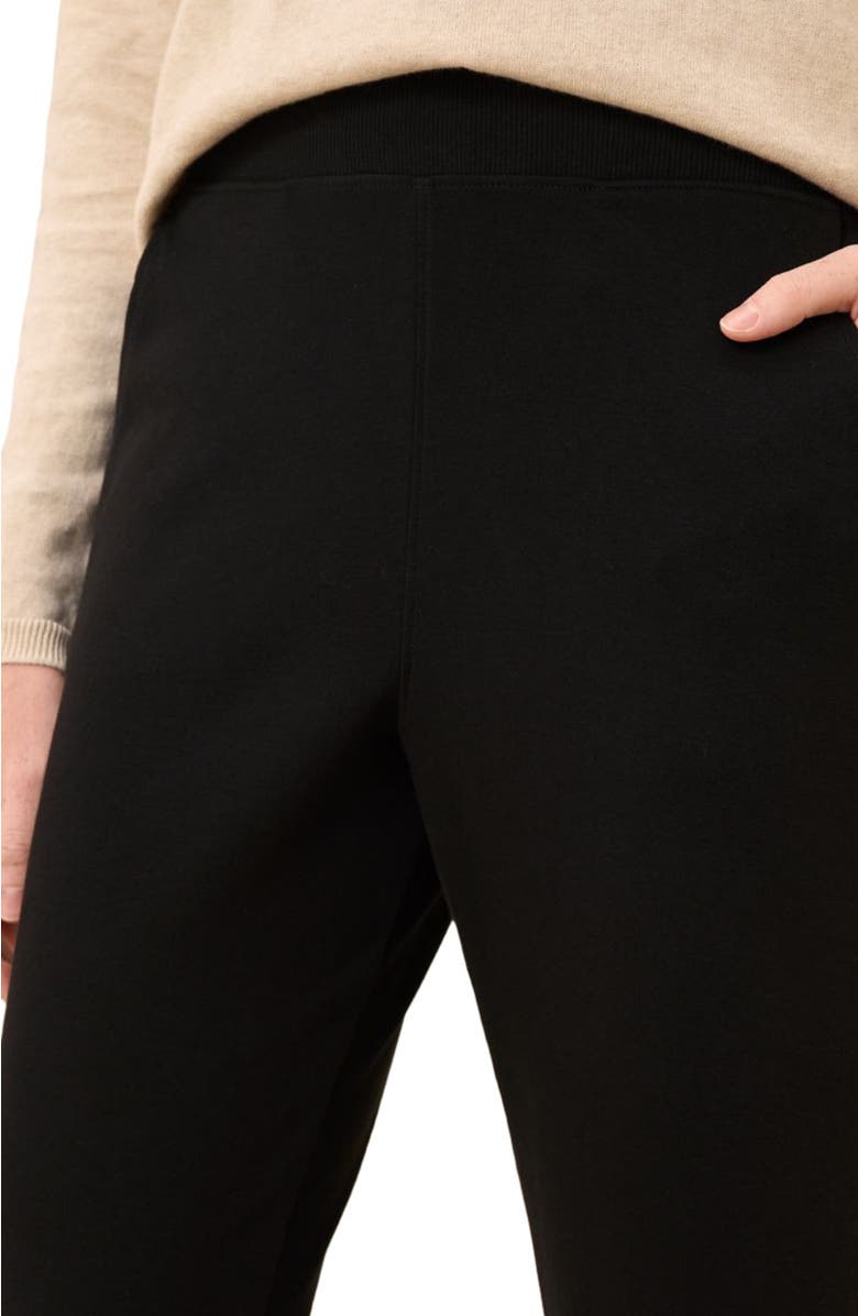 Pact Everyday Organic Cotton Airplane Joggers, Alternate, color,