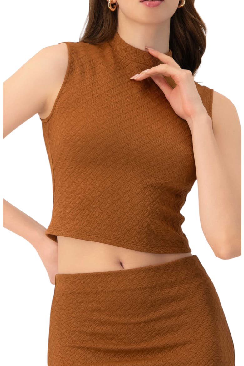 Knit Sleeveless Crop Top, Main, color, Brown