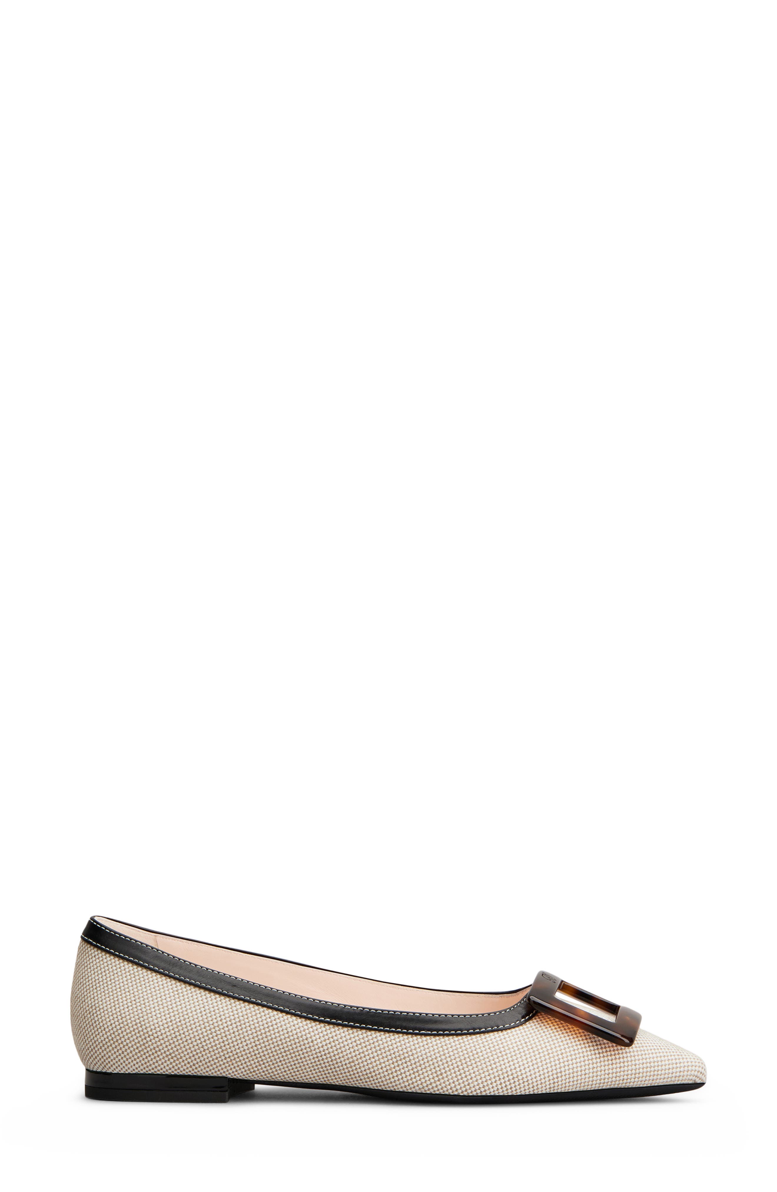Roger Vivier Gommettine Pointed Toe Ballet Flat, Main, color, Daino/ Nero