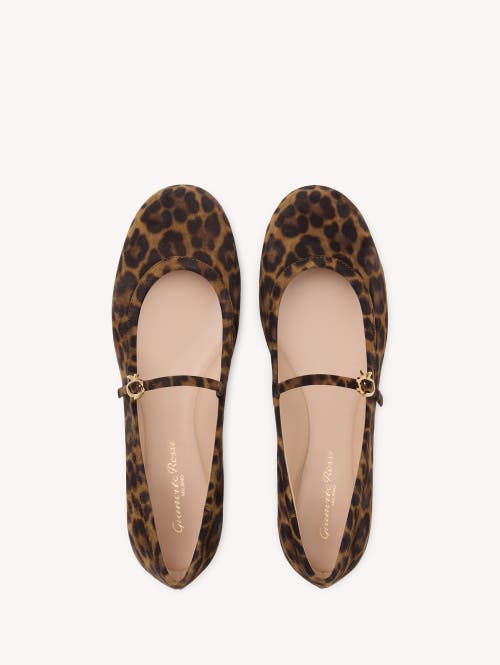 Gianvito Rossi Carla Leopard Print Ballet Flats In Leopard Brown