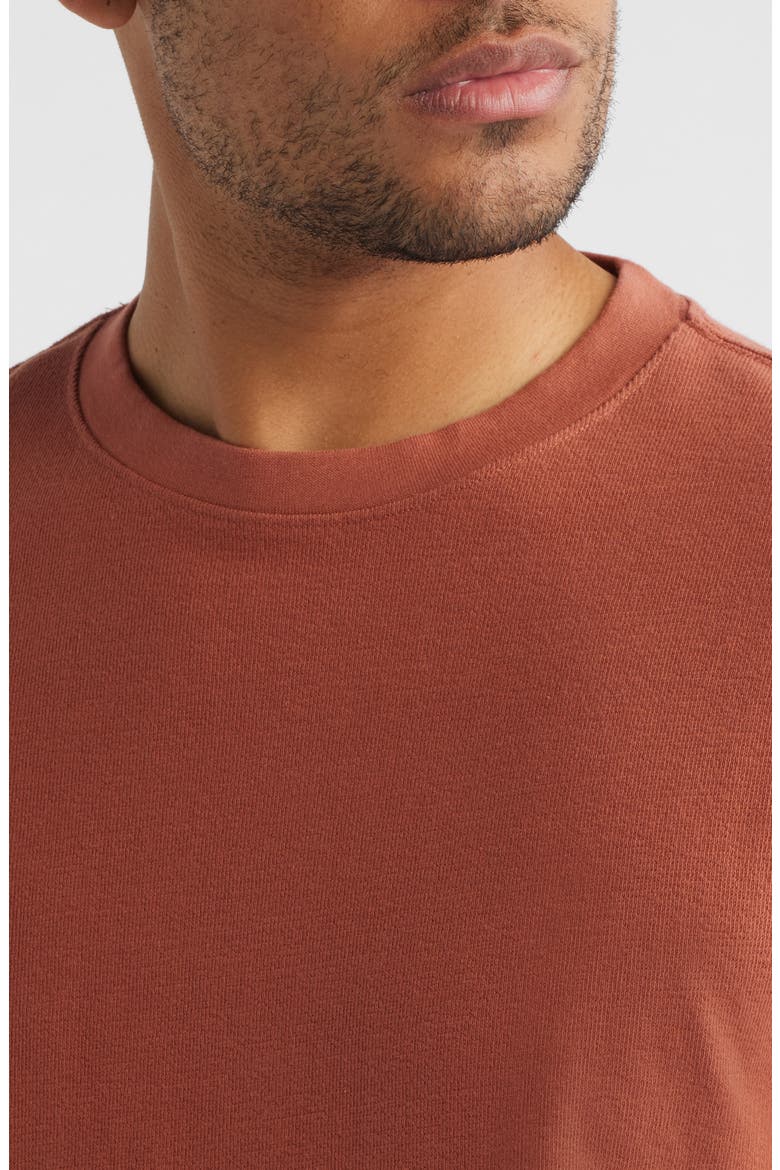 Dean Organic Cotton T-Shirt, Alternate, color, RUST