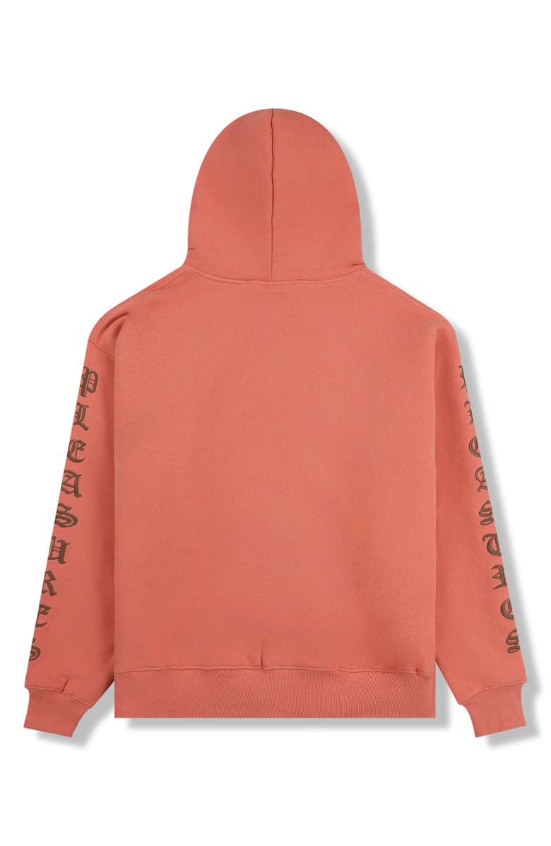 PLEASURES Embroidered Graphic Zip-Up Hoodie, Alternate, color, 