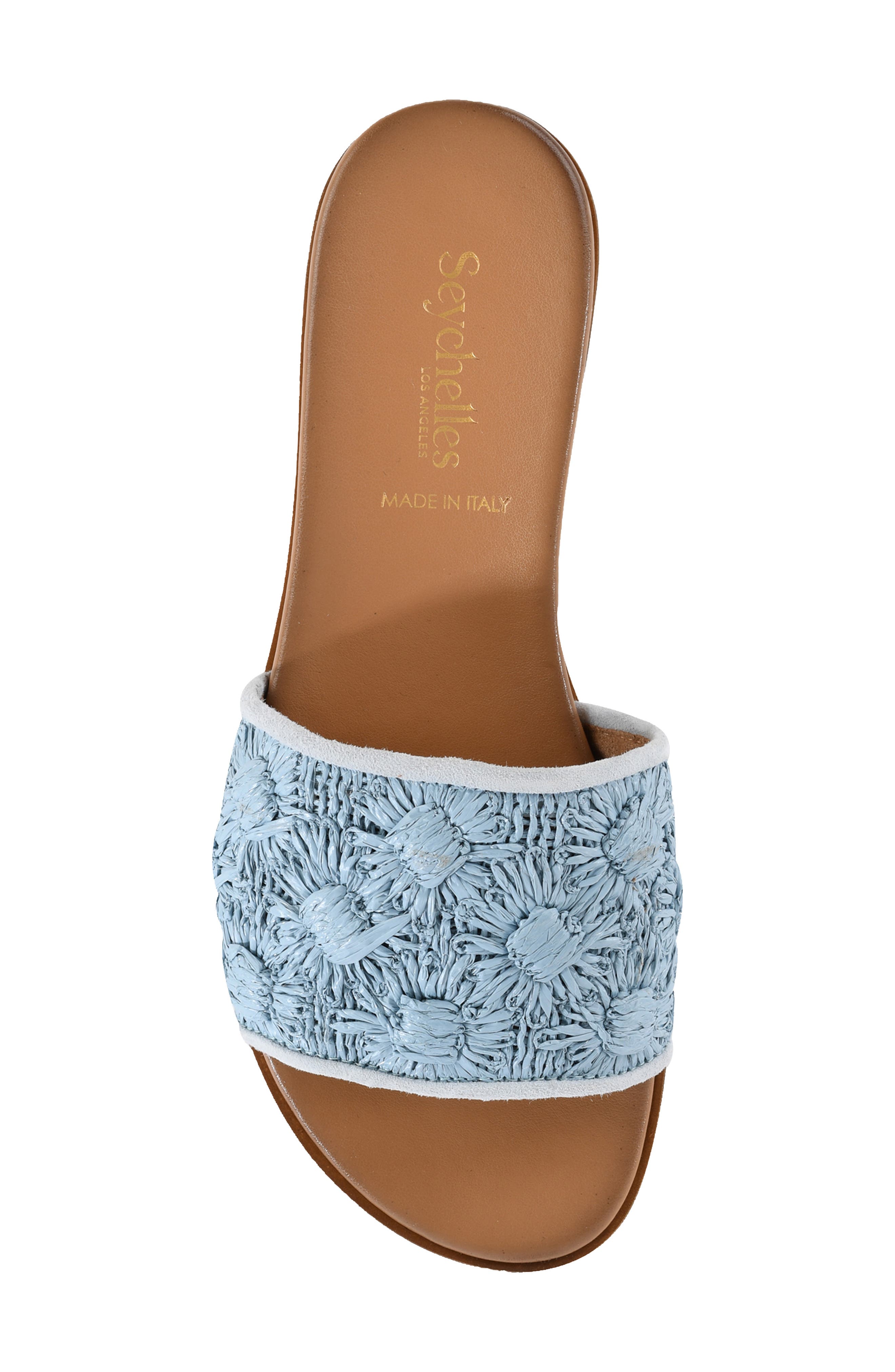 Dakota Slide Sandal, Alternate, color, BLUE