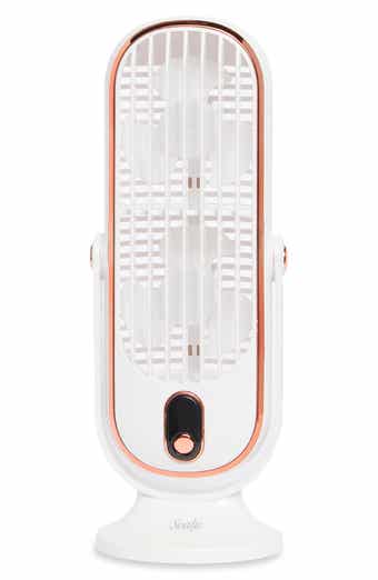 Dual Swivel Desk Fan