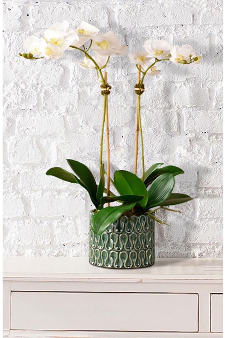 Casual Orchid Planter Decoration, Alternate, color, GREEN MEDIUM