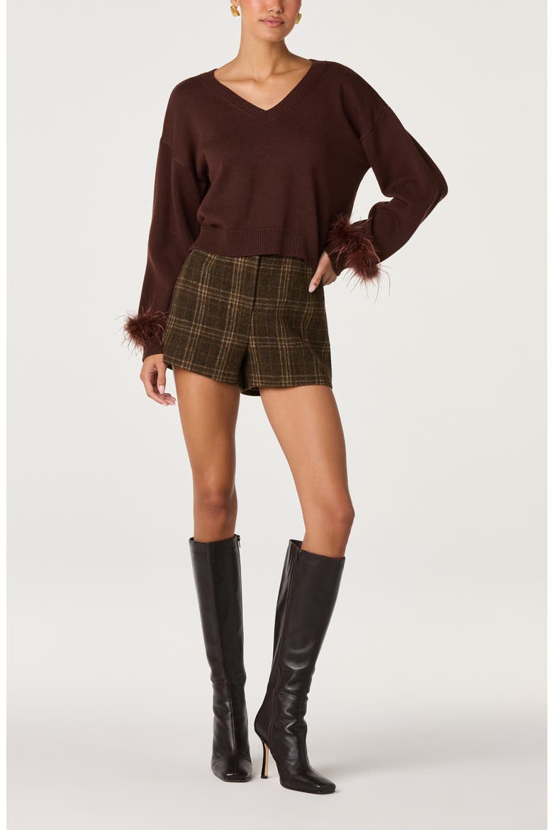 Perdita Feather Trim V-Neck Sweater, Alternate, color, BROWN