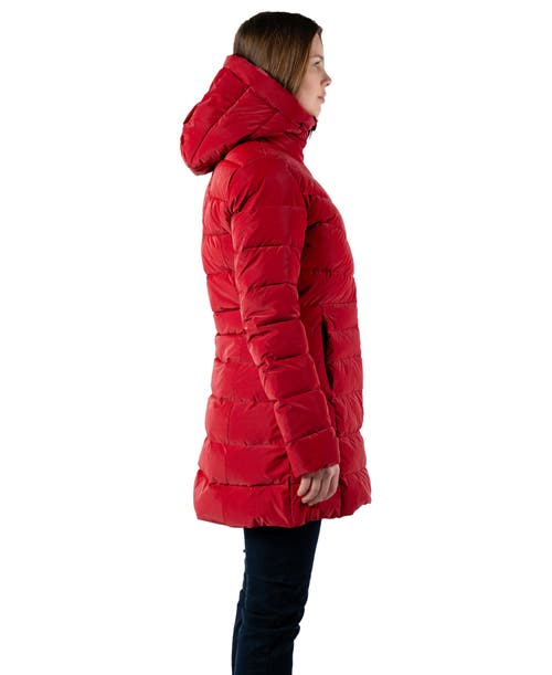 Woodpecker Long Robin Medium Weight Coat In White