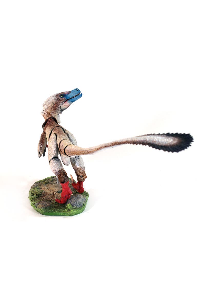 Acheroraptor Temertyorum, Alternate, color, Multicolored
