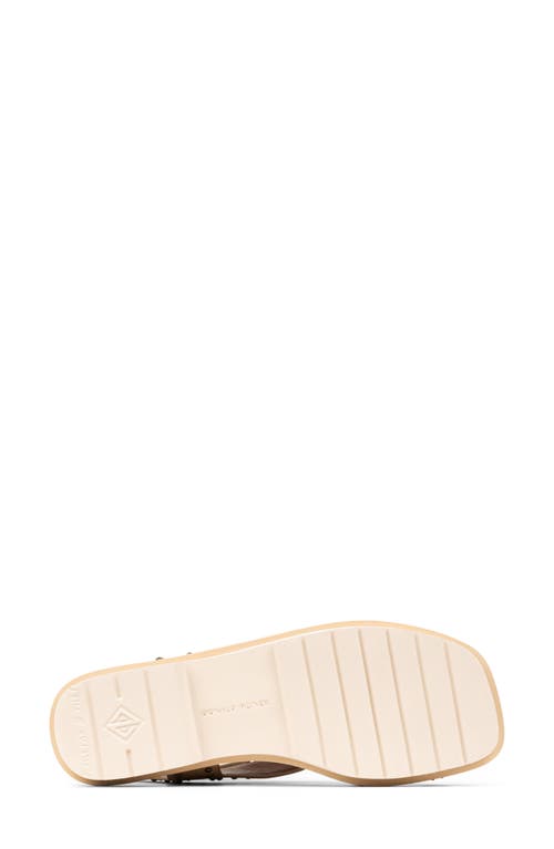Donald Pliner Thalita Toe Loop Sandal
