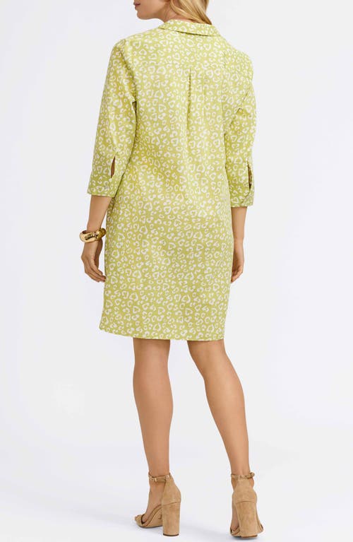 Foxcroft Sloane Leopard Spot Shirtdress In Chartreuse Multi