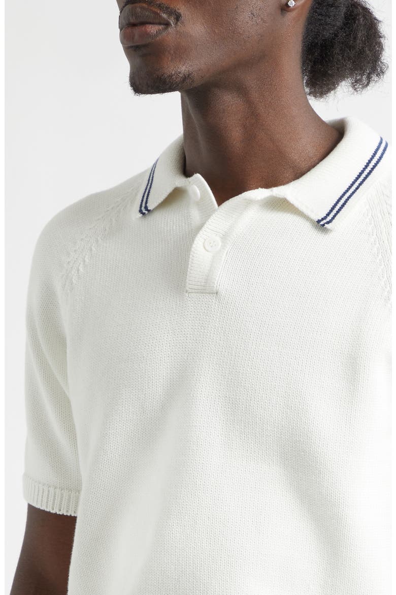 Cotton Polo Sweater, Alternate, color, WHITE/ NAVY