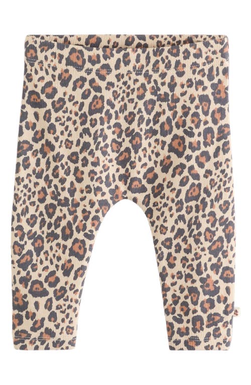 Next 6-pack Assorted Sweatshirts & Leggings Set In Pink