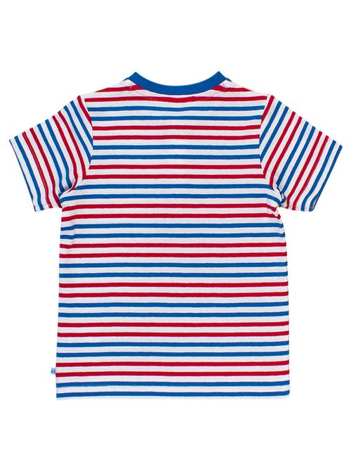 Rufflebutts Boys Short Sleeve Knit Henley In Multi