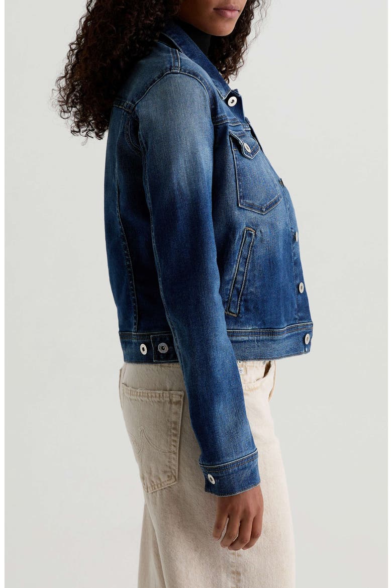 Robyn Crop Stretch Denim Jacket, Alternate, color, 9 YEARS ENCHANTMENT