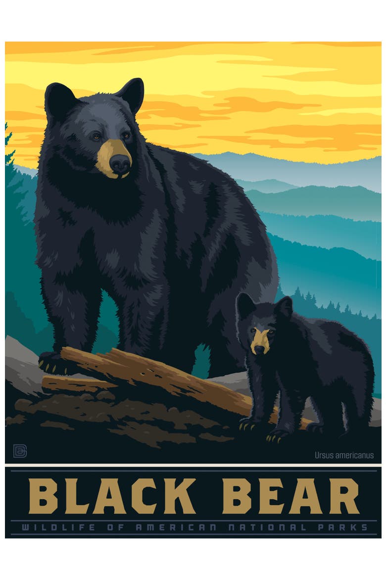 Black Bear 300 Piece Jigsaw Puzzle, Alternate, color, Multicolor