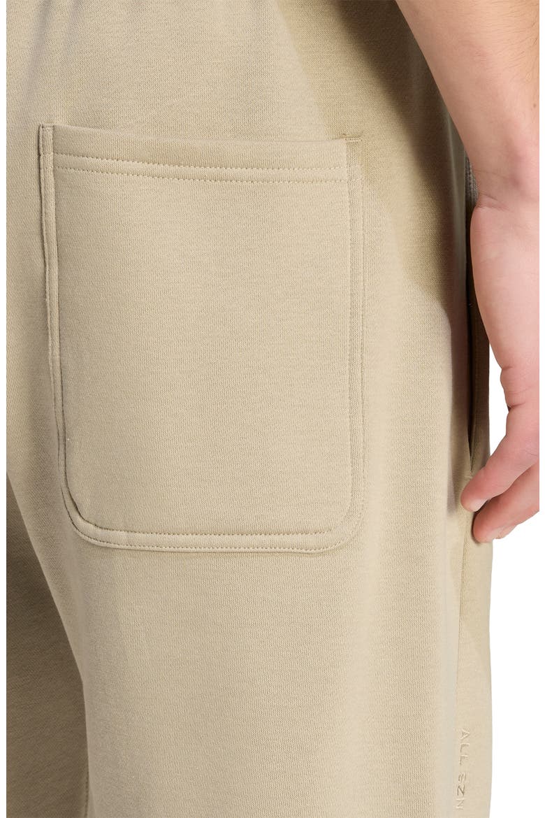 ALL SZN Fleece Regular Tapered Pants, Alternate, color, WONDER CARGO