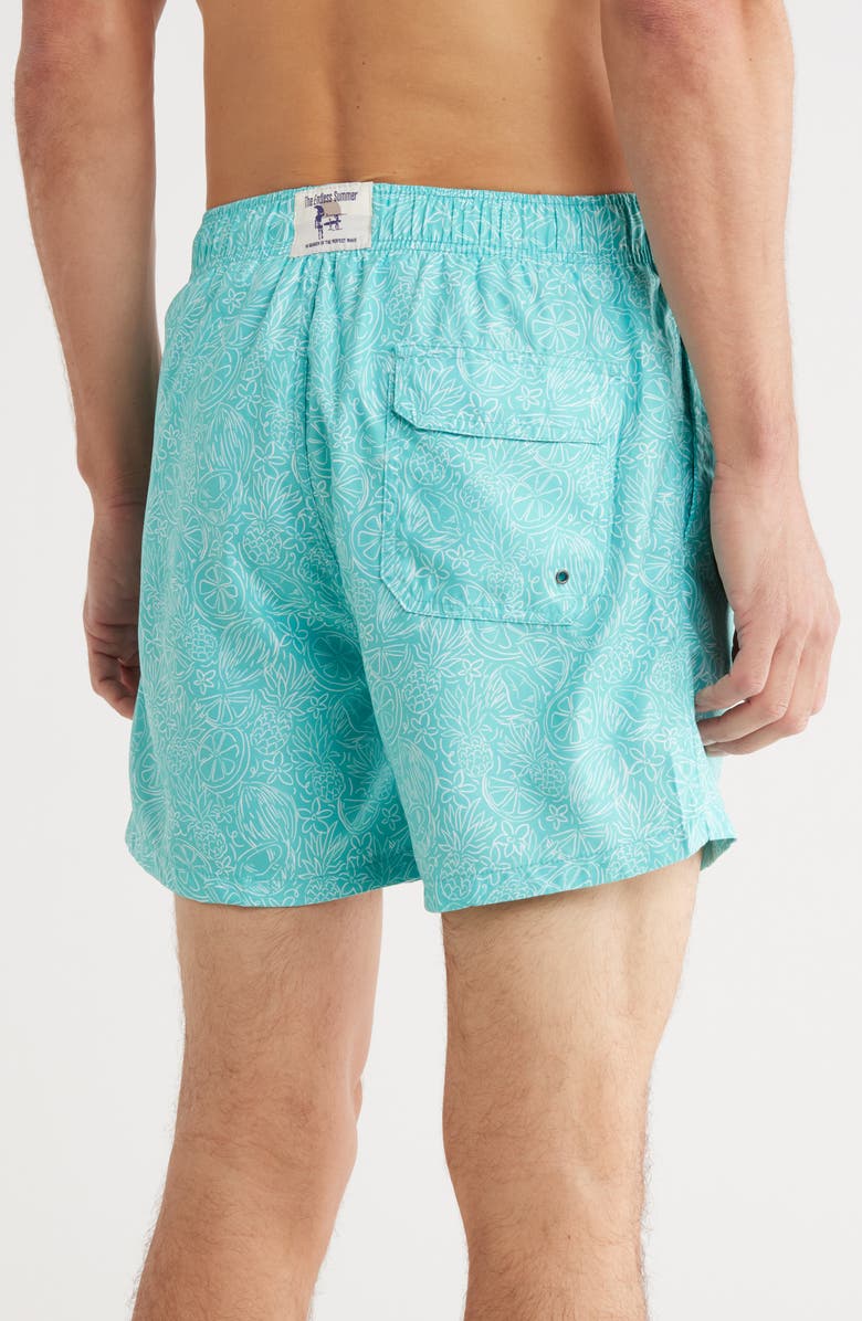 Vintage Summer Volley Swim Shorts, Alternate, color,