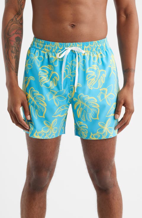 The Arboretum Classic Lined 5.5-Inch Swim Trunks