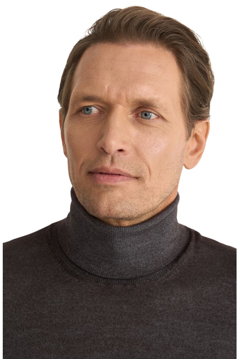 Merino Wool Turtleneck Sweater, Alternate, color, MEDIUM BROWN