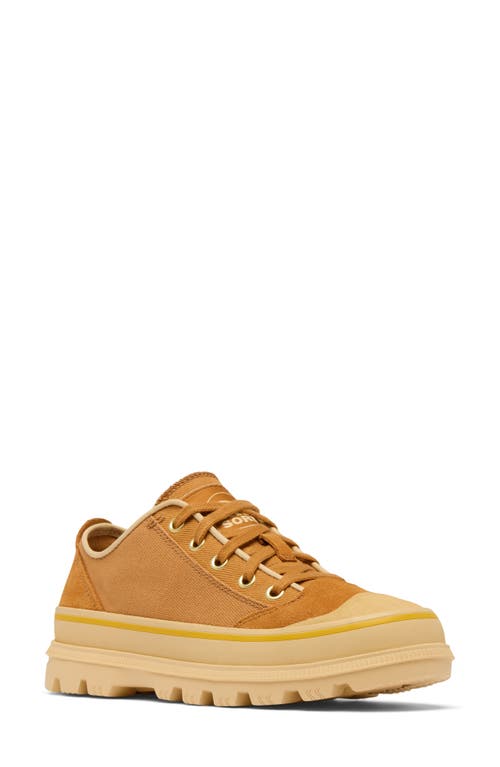 SOREL SOREL SCOUT N ABOUT™ LOW SNEAKER