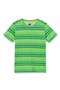 selected Summer Green Stripe