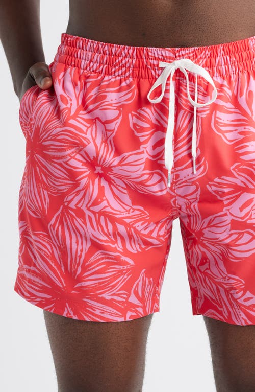 Chubbies Raz-matazz 5.5-inch Swim Trunks