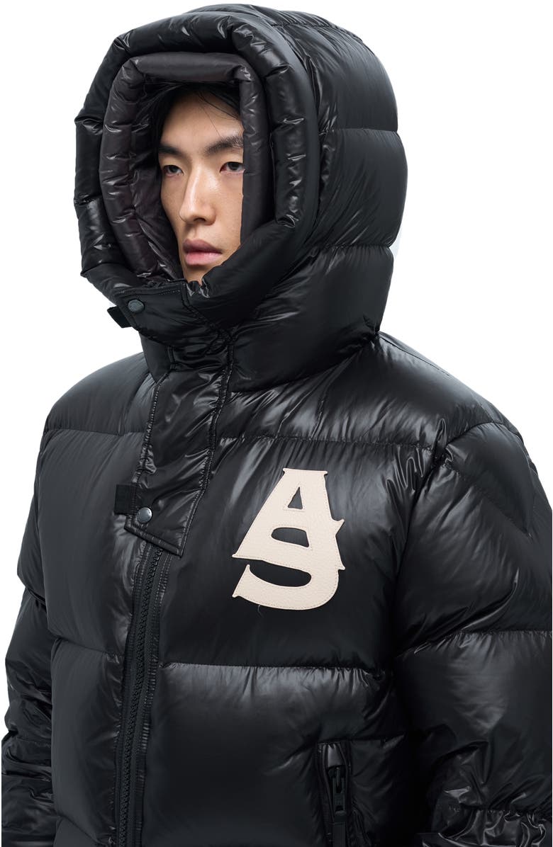 AlphaStyle Kudu Hooded Puffer Down Jacket, Alternate, color, Black