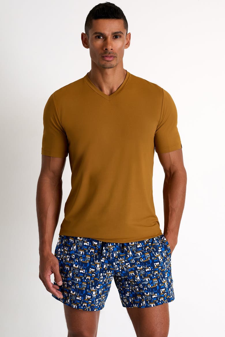 Classic fit stretch swim trunks, Alternate, color, Print