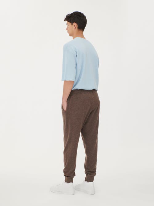 Gobi Mongolian Cashmere Jogger In Cocoa