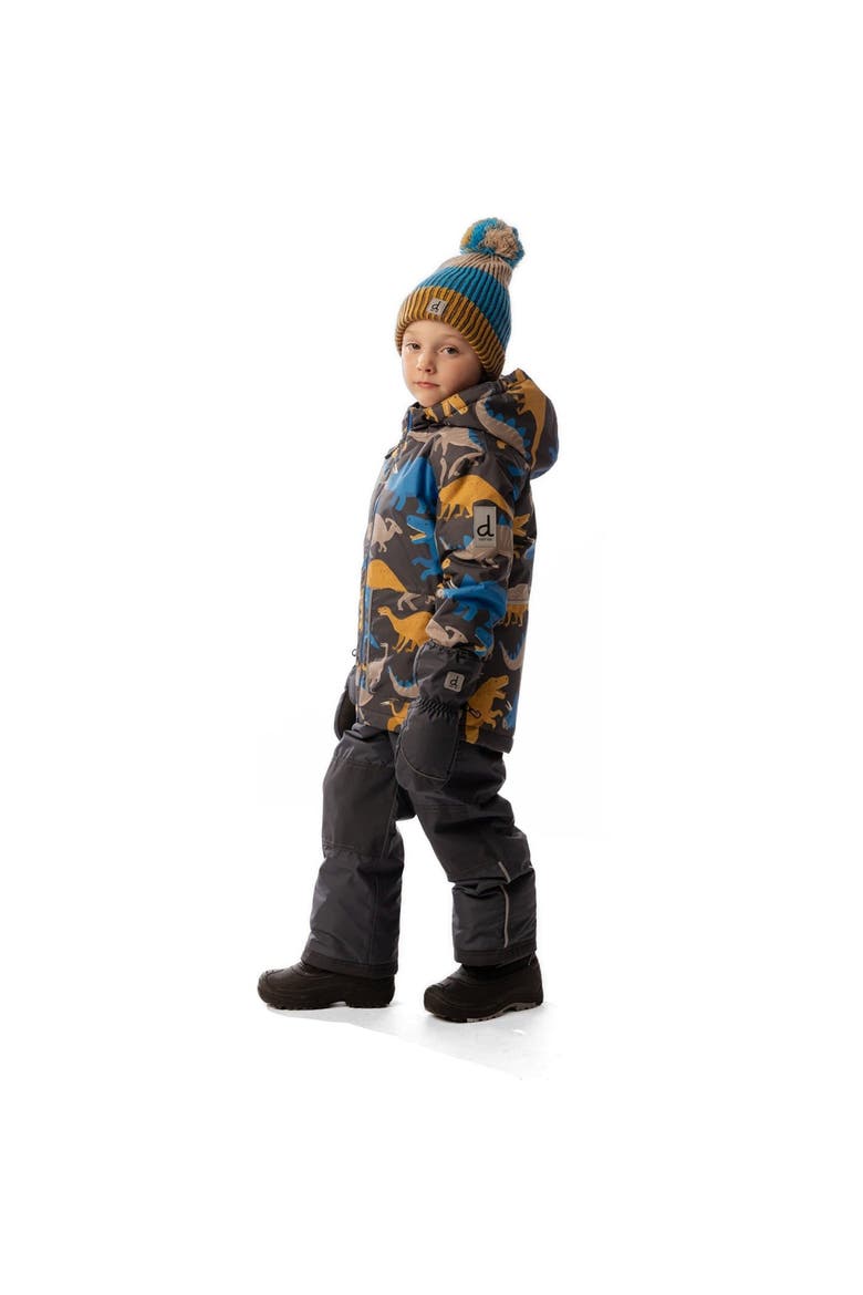 Dinosaur Chill Lightweight Jacket & Foot Strap Pants Two Piece Snowsuit, Alternate, color, Grey and Blue Dinosaur Print