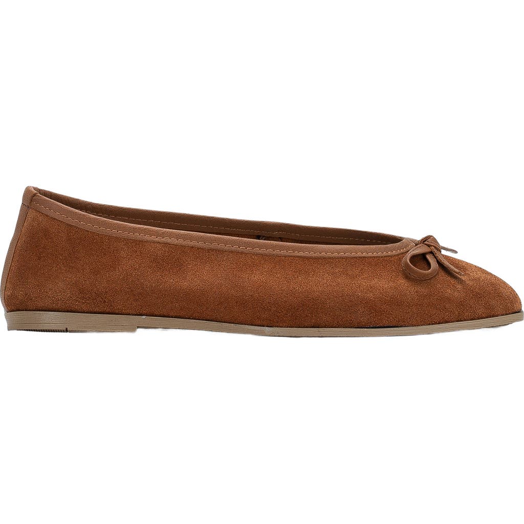 Forever & Always Shoes Freya Leather Ballerina Flats in Cognac Suede Leather at Nordstrom, Size 8.5