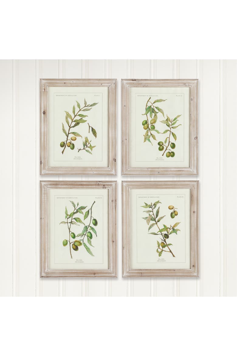 Framed Olive Leaf Botanical Prints Set of 4, Alternate, color, Off-White