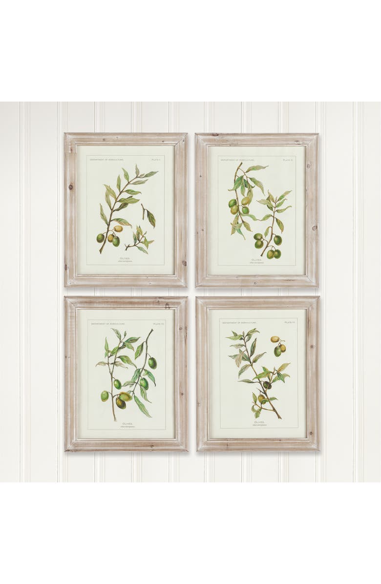 Napa Home & Garden Framed Olive Leaf Botanical Prints Set of 4, Alternate, color, Off-White