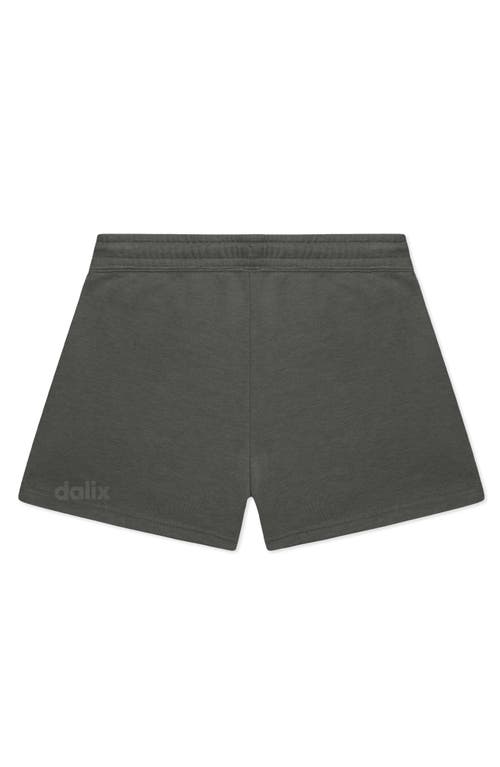 Dalix Womens Ghost Midweight Washed Fleece Shorts In Gray