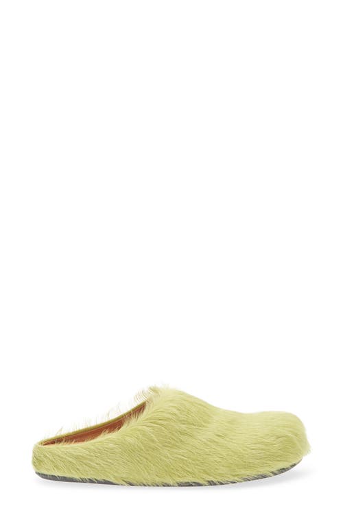 Marni Fussbett Sabot Genuine Calf Hair Clog In Multi