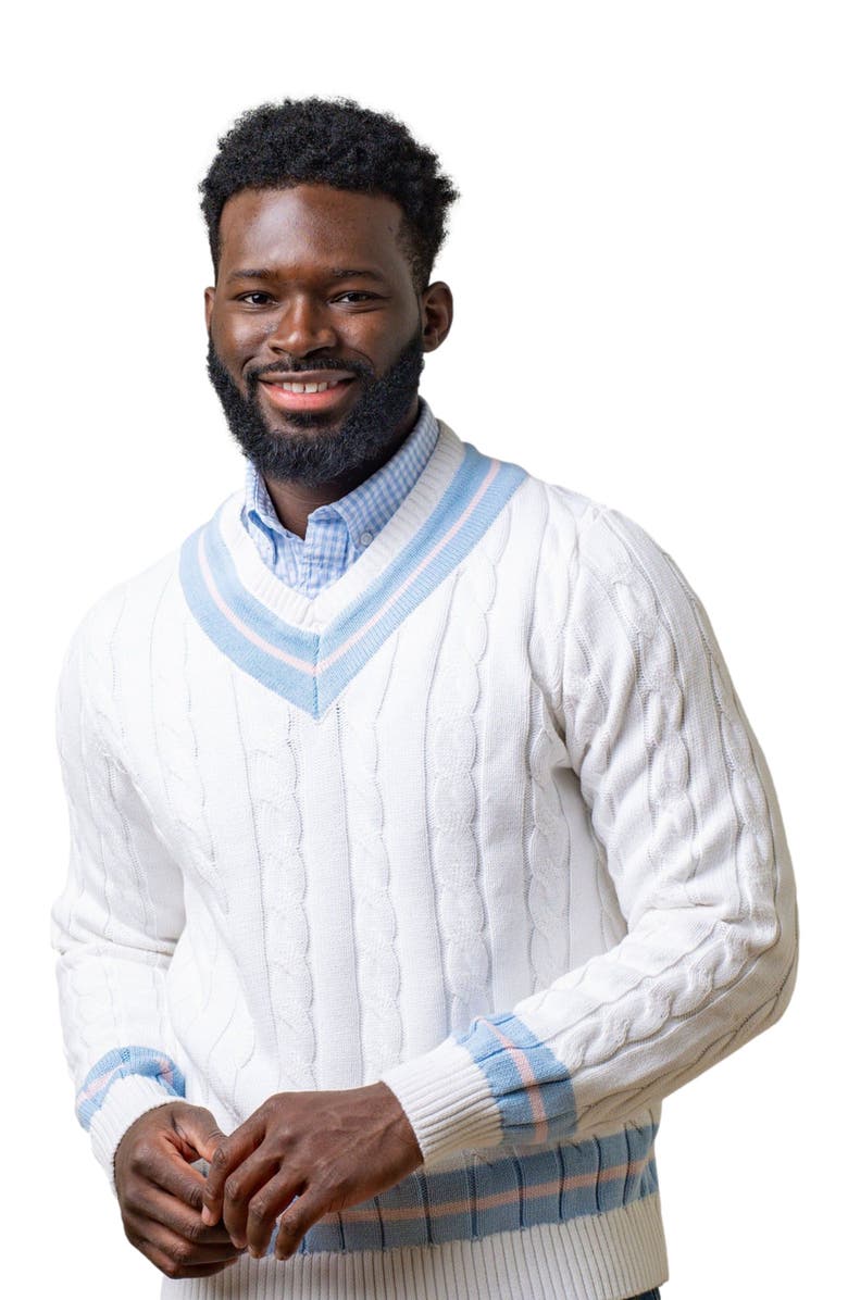 Hope & Henry Men's Organic V-Neck Cricket Sweater, Alternate, color, 