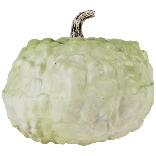 Northlight Heirloom Winter Gourd Fall Harvest Decoration In Green