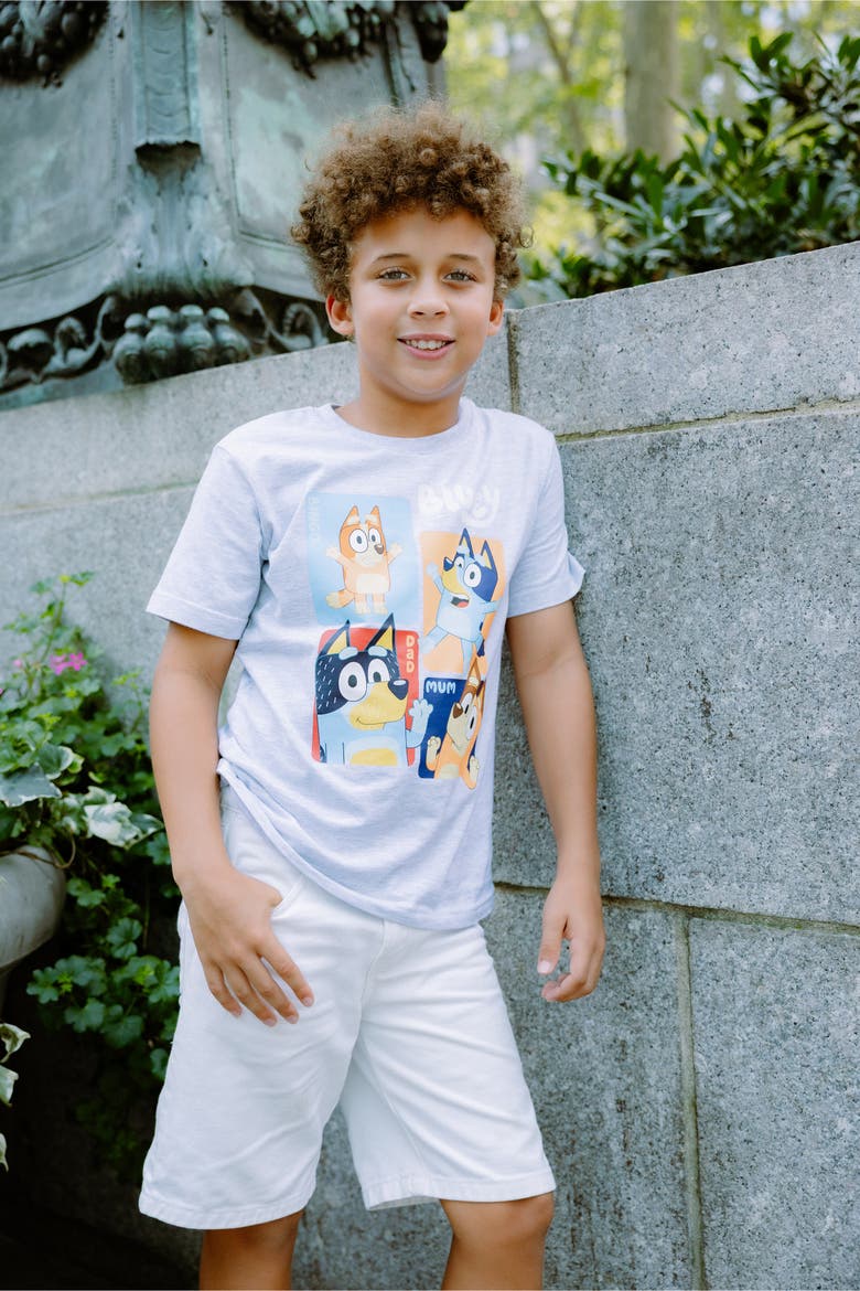 Short Sleeve T-Shirt 2-Pack, Alternate, color, Blue Heather Grey