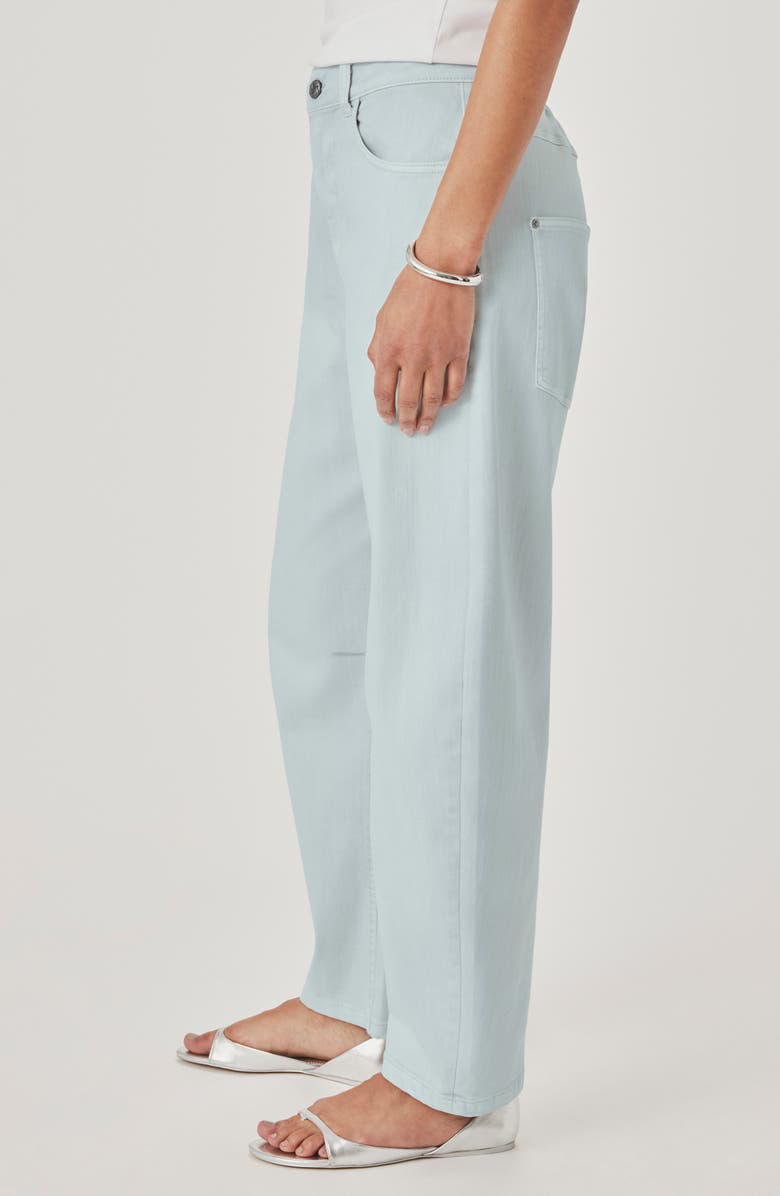 Splendid Ankle Barrel Leg Jeans, Alternate, color, Country Air Blue