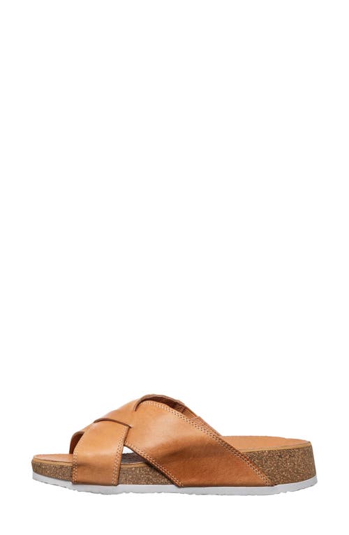 Antelope Adeline Slide Sandal In Tan