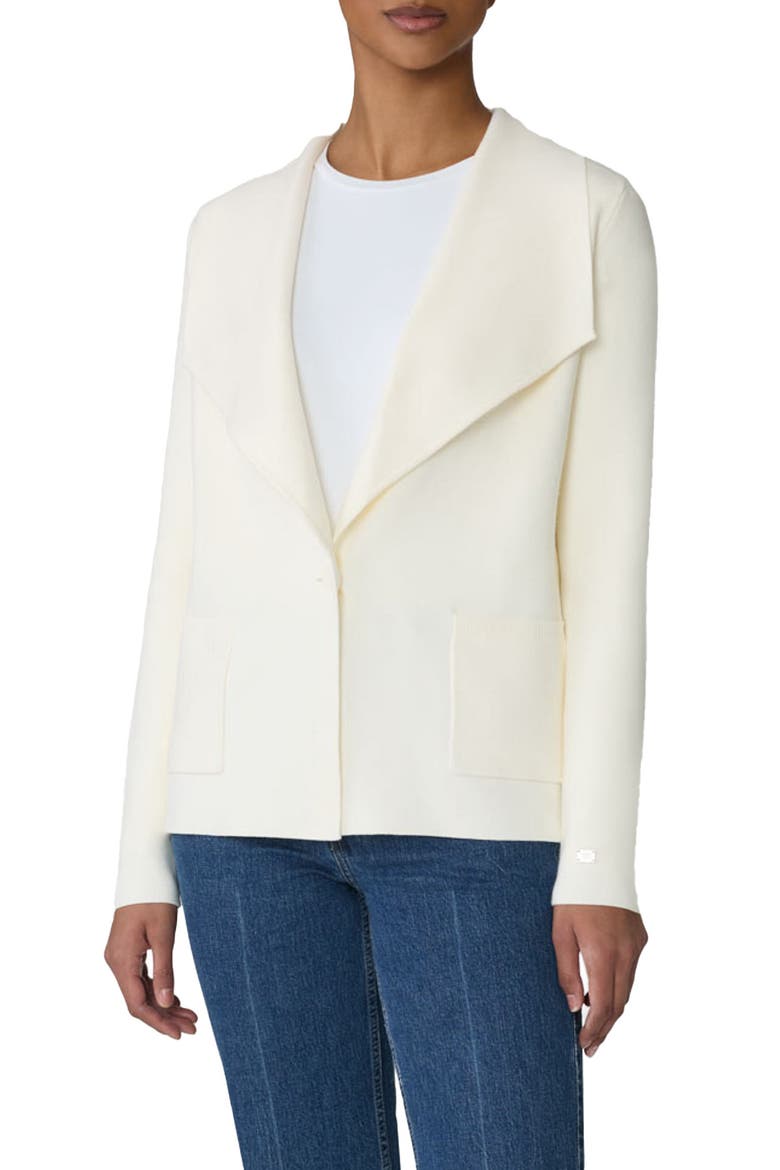 Ioni Shawl Collar Jacket, Main, color, POWDER