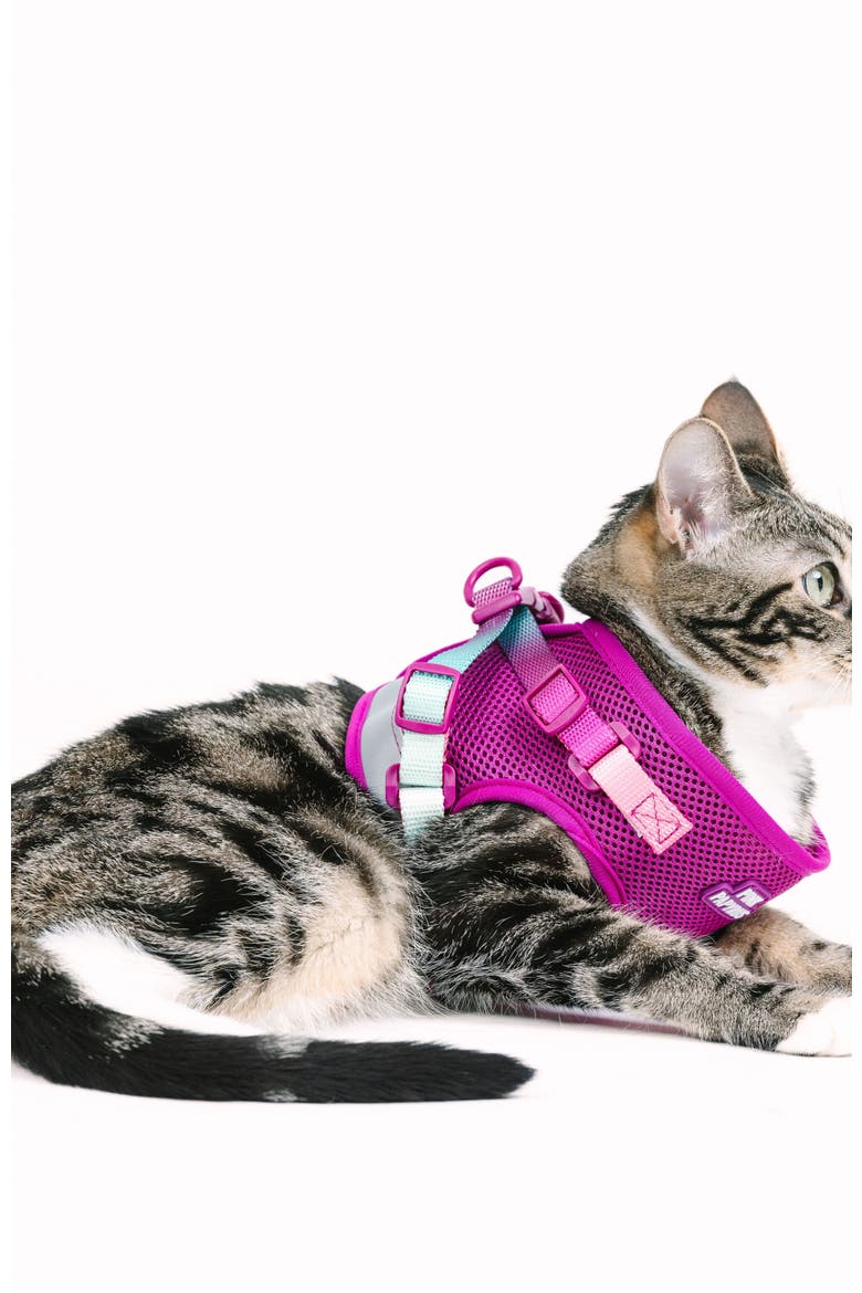 Joana Cat Harness and Leash Set, Alternate, color, Joana