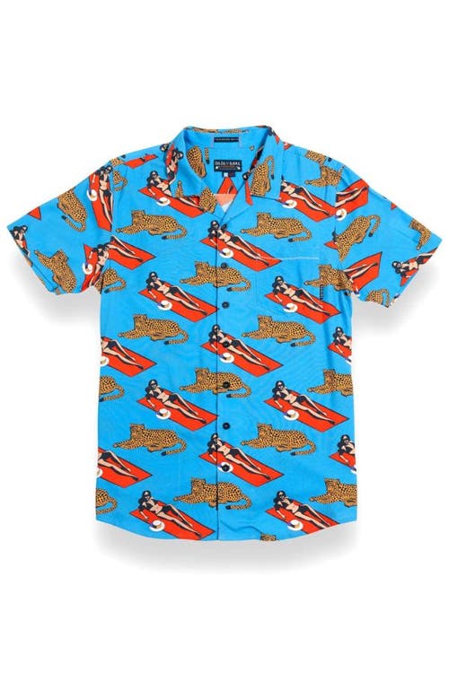 Baja Llama PURRFECT WOMAN - BLUE NIGHTHAWK BUTTON UP 